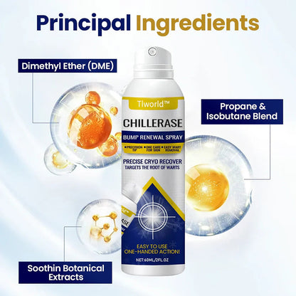 🎉Last Day Promotion 50% OFF - ChillErase Bump Renewal Spray