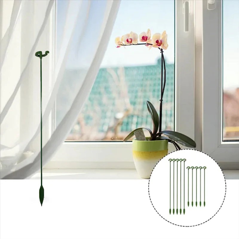 Graceful Stem Support