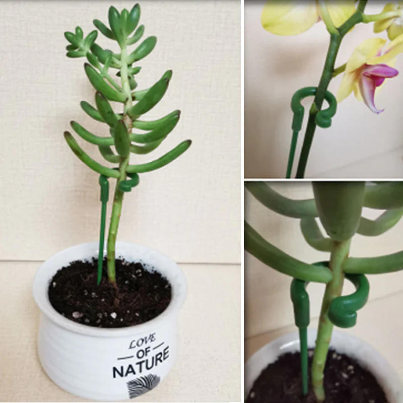 Graceful Stem Support