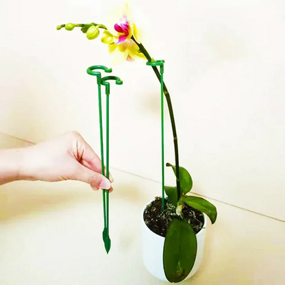Graceful Stem Support